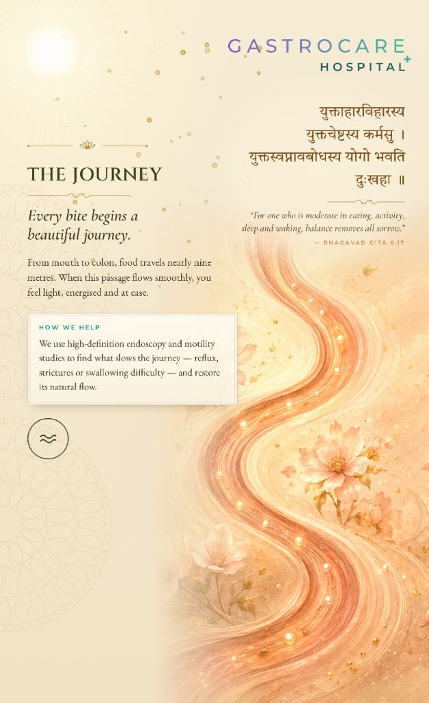 GastroCare Hospital artwork titled The Journey, showing a luminous winding path of golden light and pale blossoms, illustrating the passage of food through the digestive tract